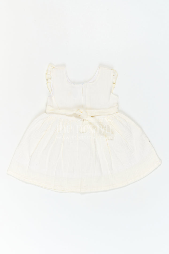 Baby Cotton Frock for First Birthday Photoshoot