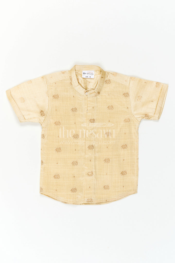 Boys Ethnic Silk Shirt for Wedding Functions and Temple Visits