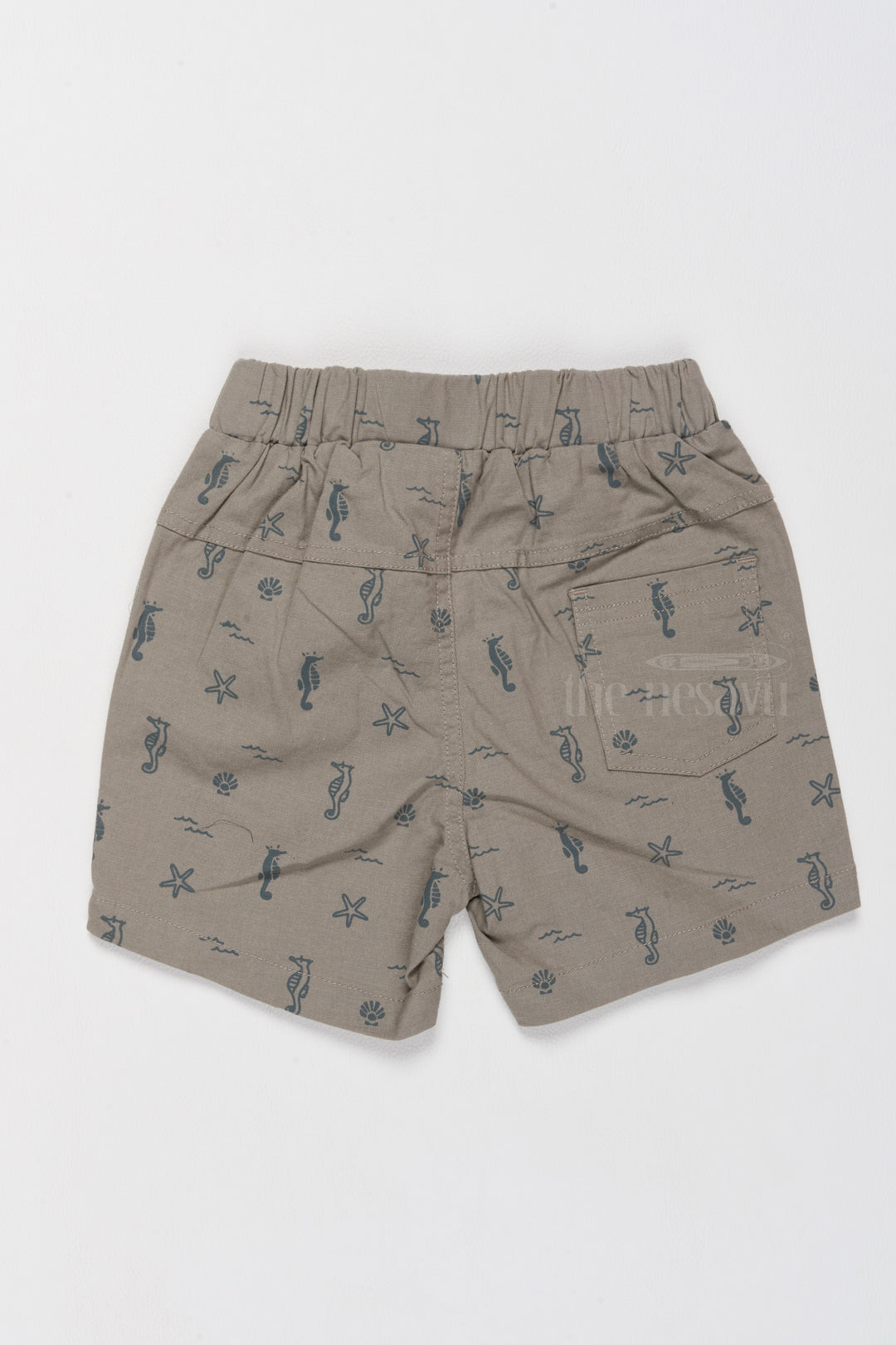 Boys Printed Cotton Shorts with Fun Sea-Themed Designs