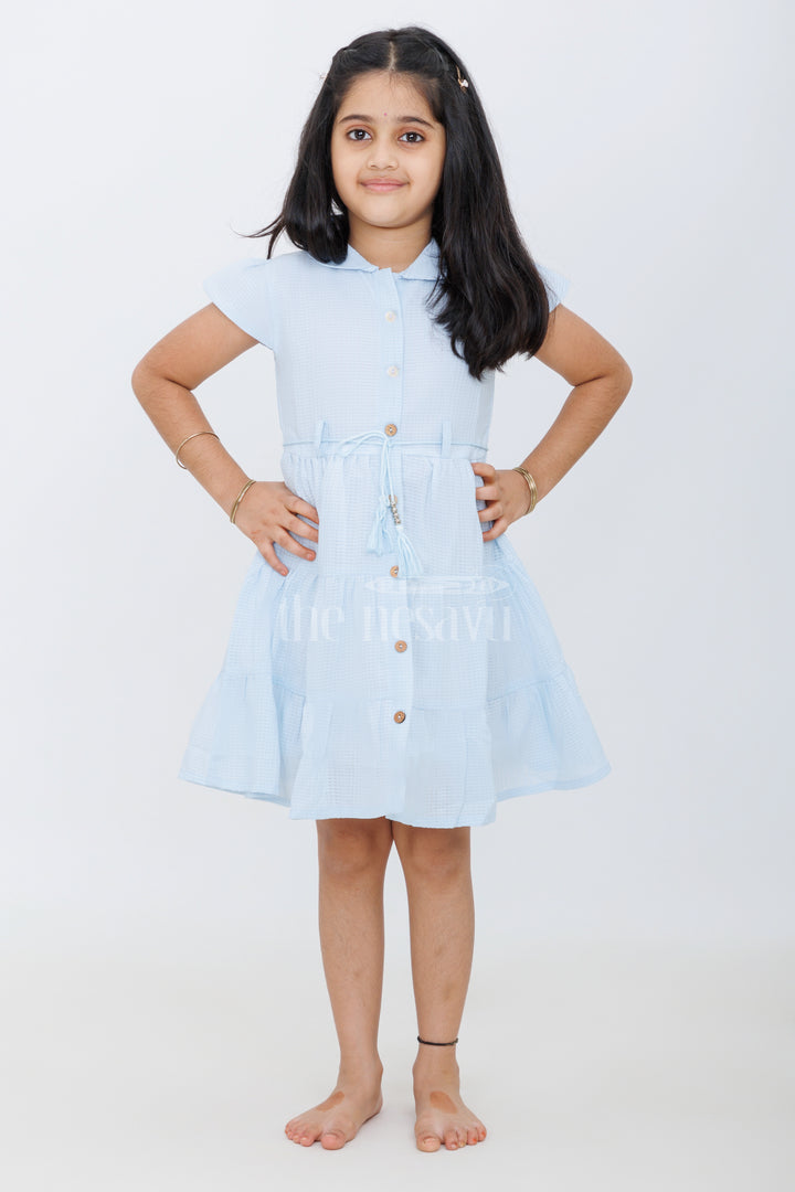 Light Blue Gingham Cotton Dress with Flutter Sleeves and Embroidered Butterfly for Casual Wear