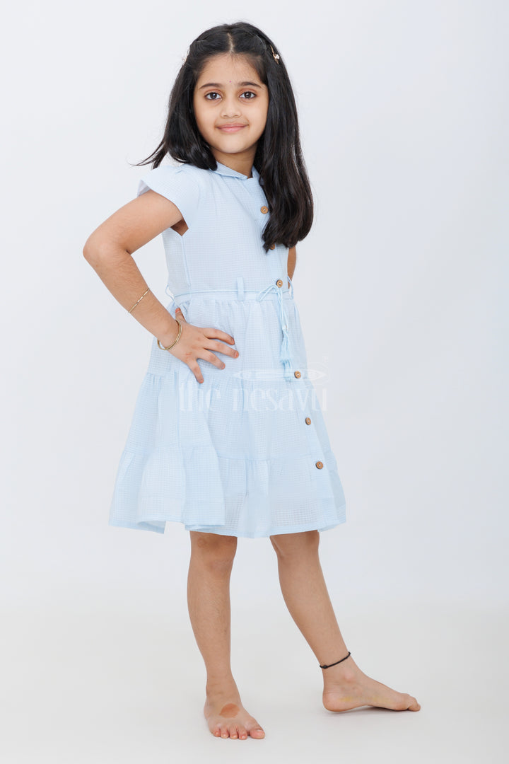 Light Blue Gingham Cotton Dress with Flutter Sleeves and Embroidered Butterfly for Casual Wear