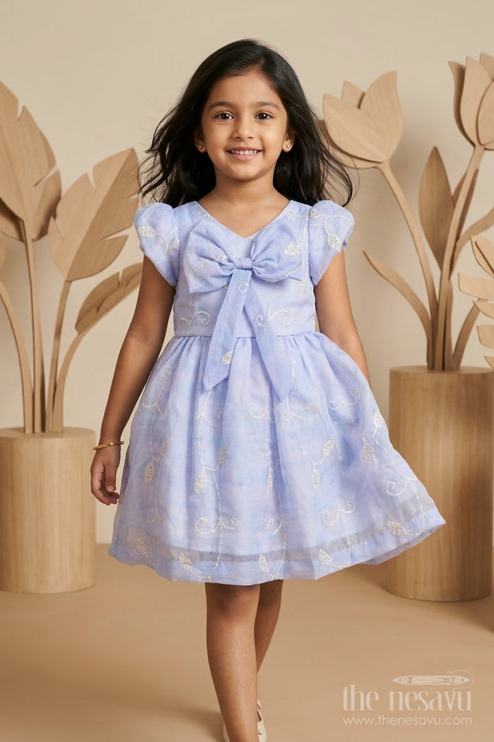 Girls Embroidered Party Frock for Birthdays and Special Occasions