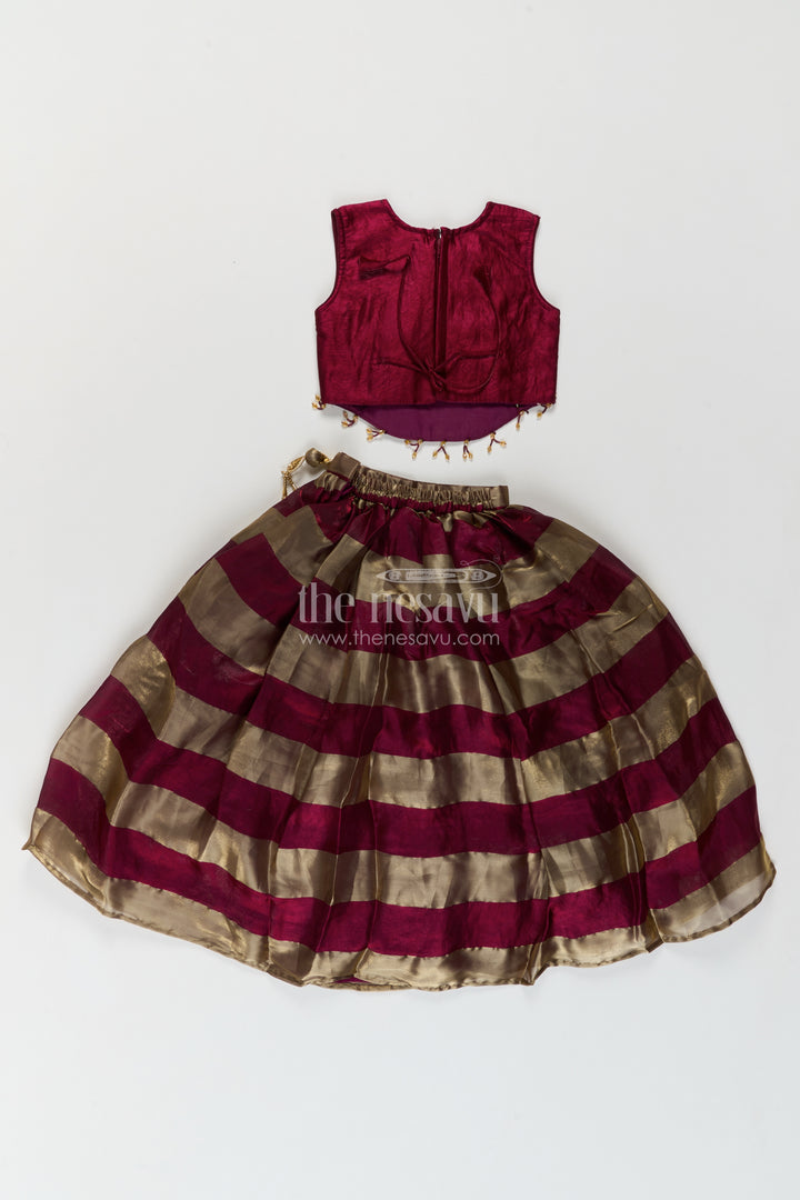 Girls Wine Georgette Leaf Embroidered Stripe Lehenga Choli