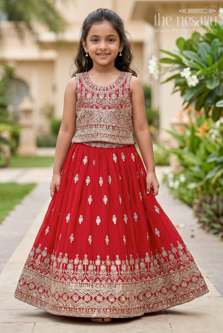 Wedding Lehenga Choli for Girls Traditional Grand Dress