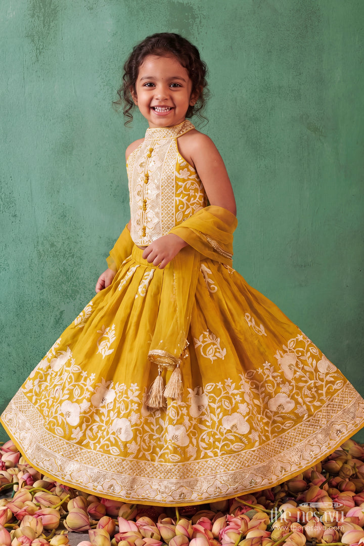 Girls Fancy Lehenga with Thread Embroidery for Family Functions