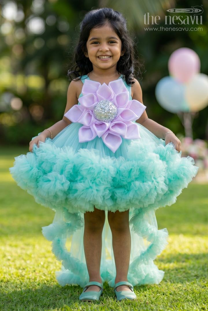 Fancy Party Frock with Floral Embellishment for Baby Girls