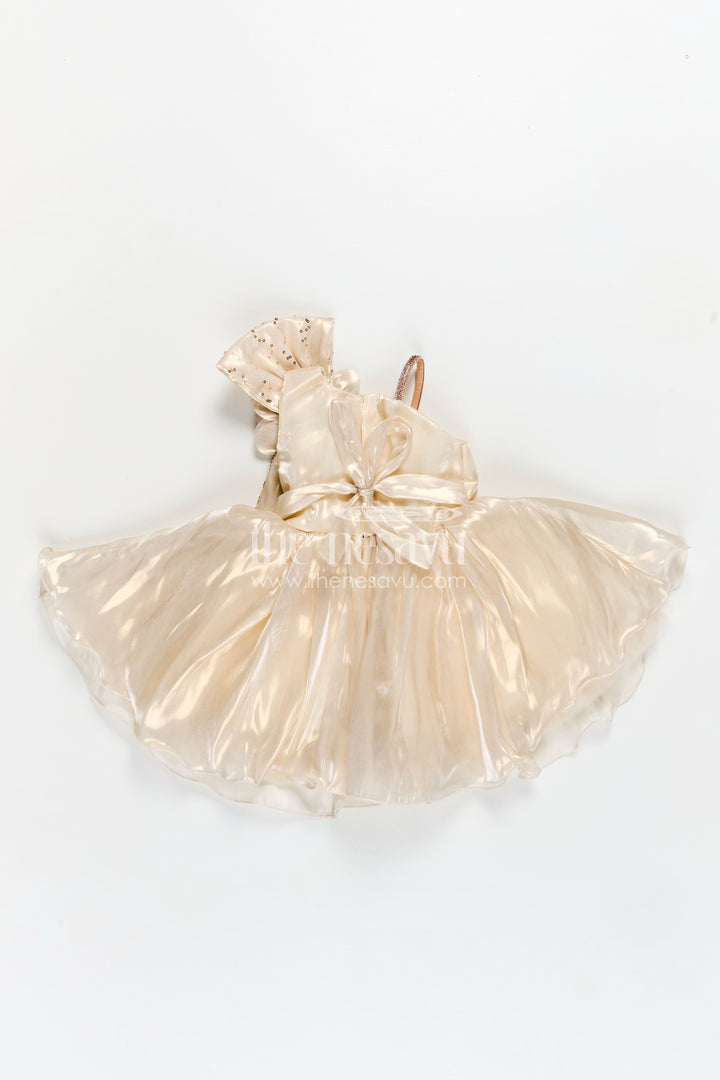 Girls Cream Organza frock new model design with Sequin Work and Floral Appliqué Accents