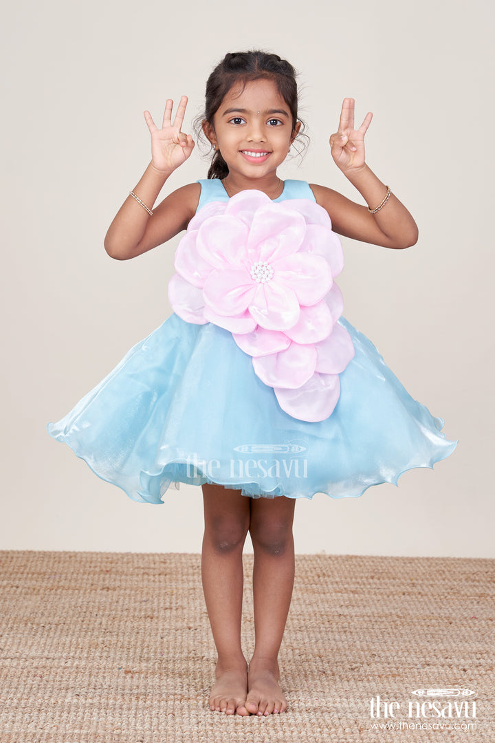 Baby Girl Party Frock for Birthdays and Special Occasions