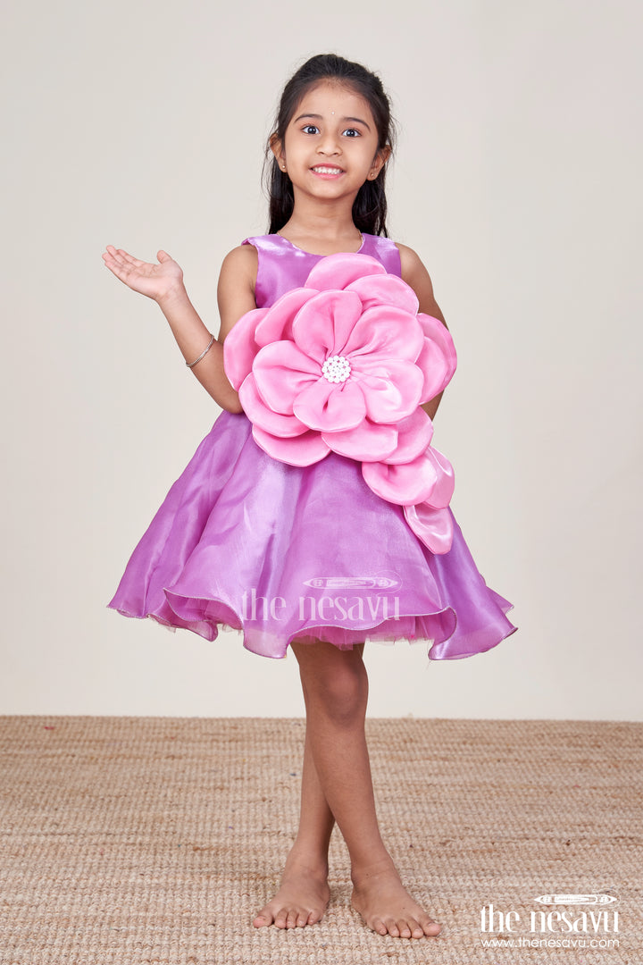 Toddler Girl Party Frock for Birthdays and Festive Celebrations