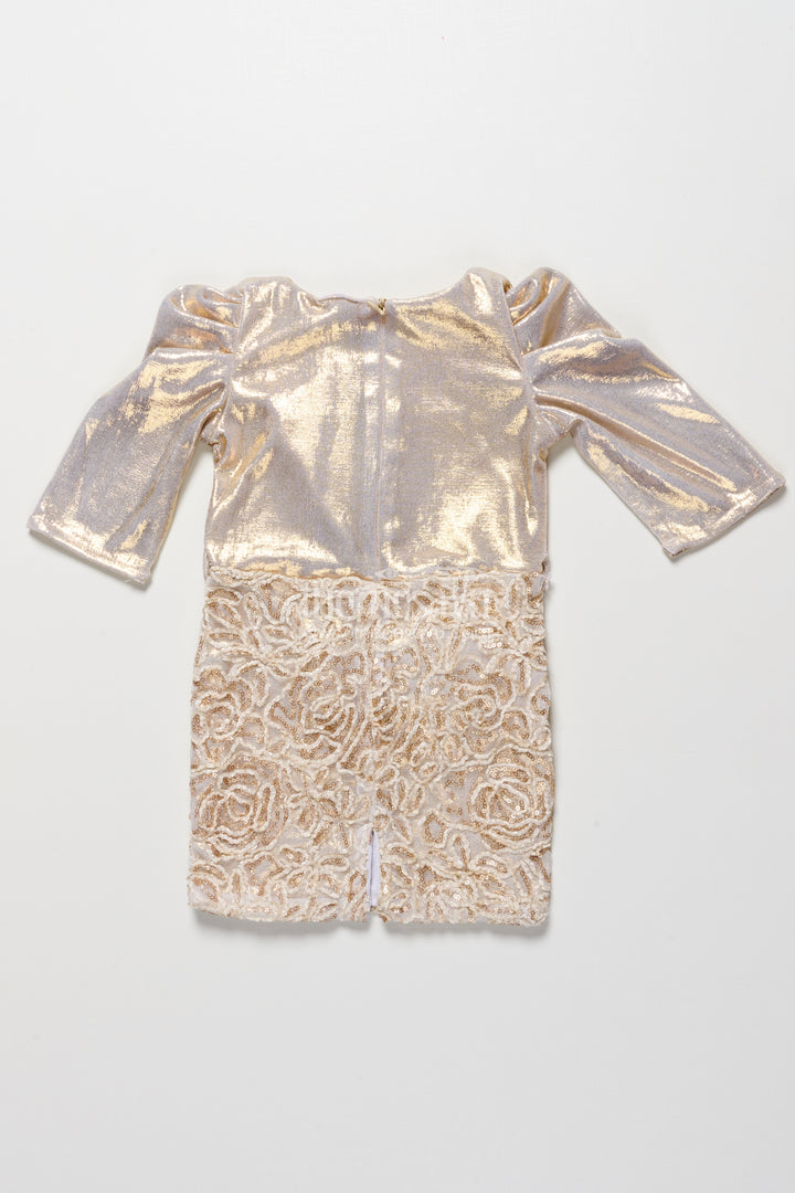 Girls Tissue Frock with Embroidery and Net Detailing for Parties