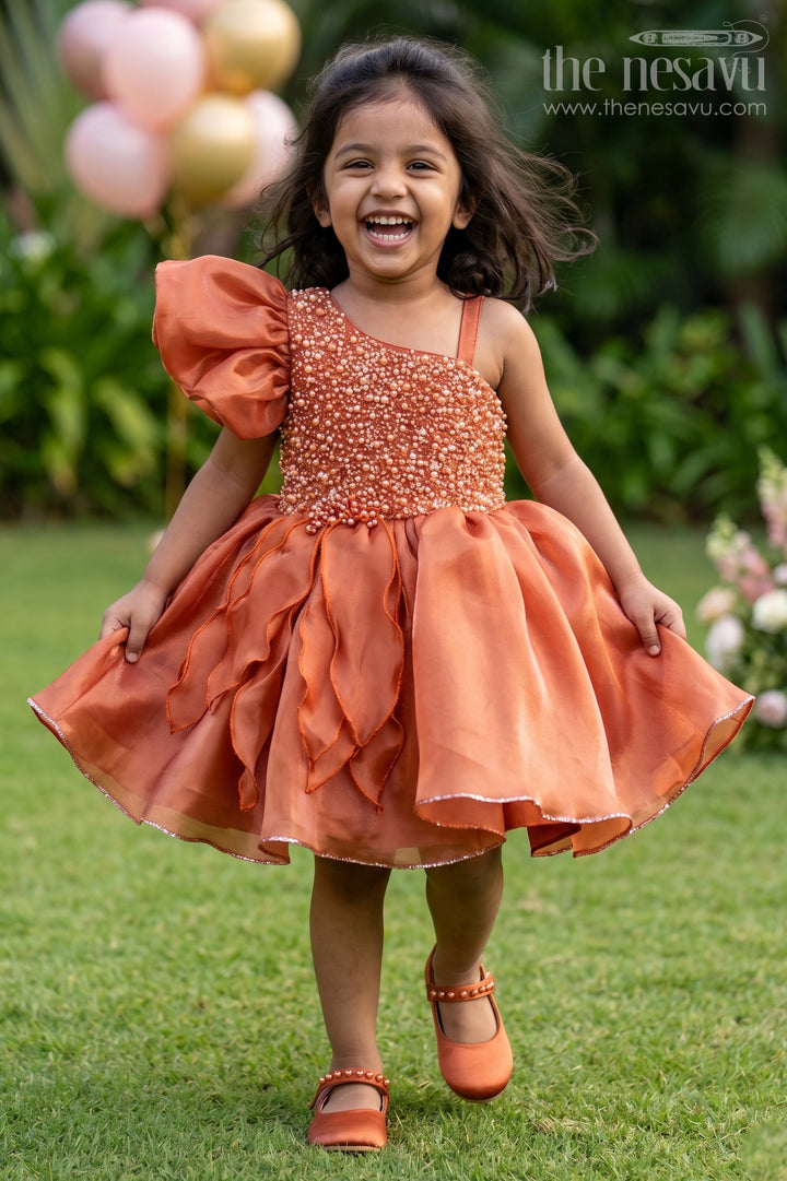 Baby Girl Party Frock for Birthdays and Special Celebrational Event