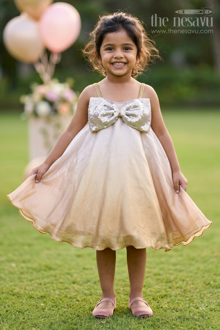 Baby Girl Party Frock with Bow for Birthday Celebrations