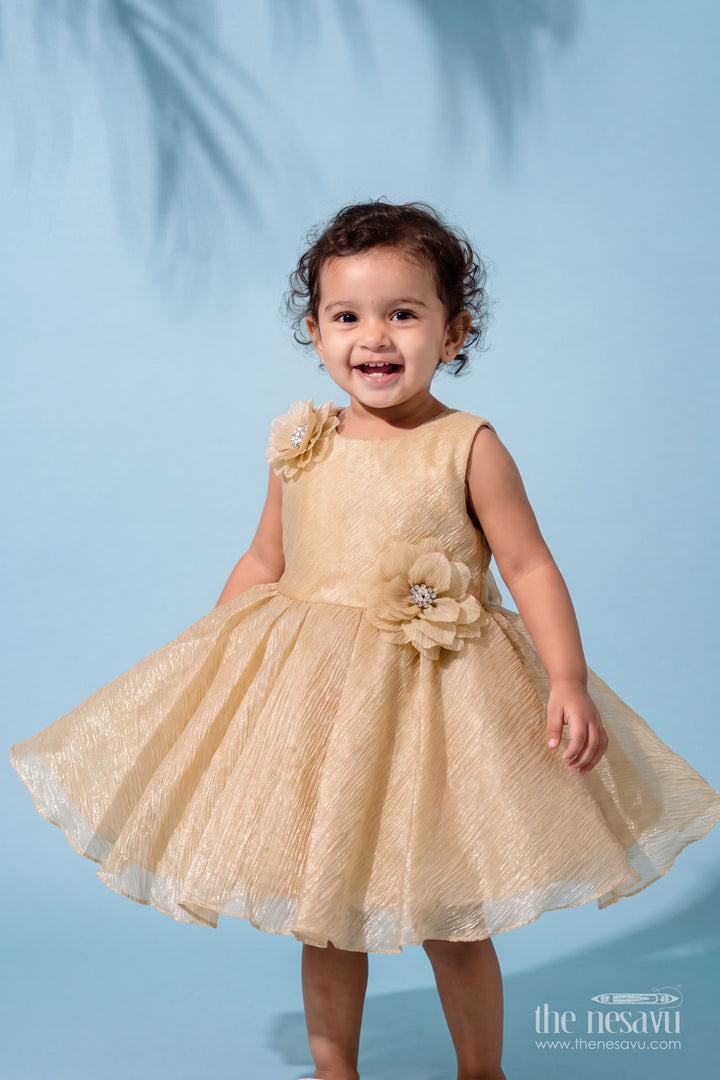 Girls Party Frock in Brown for Portrait Days