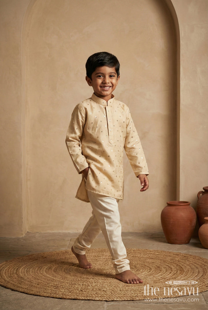 The Nesavu Boys Kurtha Set Boys Kurta Set for Weddings and Festive Occasions Nesavu 18 (2Y) / Gray / Viscose Silk BES761A-18 Nesavu boys kurta set with festive sequence embroidery in viscose silk for toddlers
