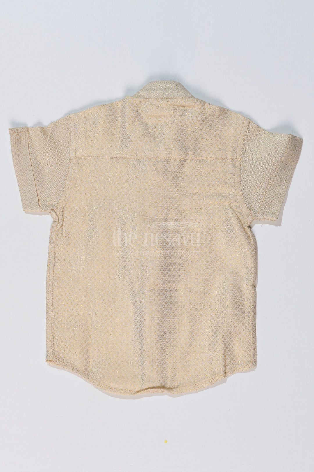 The Nesavu Boys Silk Shirt Boys Shirt New Design with Embroidered Elephant Motif and Mandarin Collar Nesavu Boys Shirt New Design Elephant Embroidery Mandarin Collar | The Nesavu