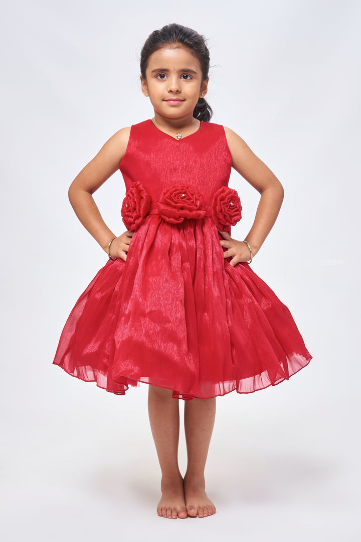 Deep Rose Romance: Cute Fabric Flower Applique on Pleated Organza Party Frock