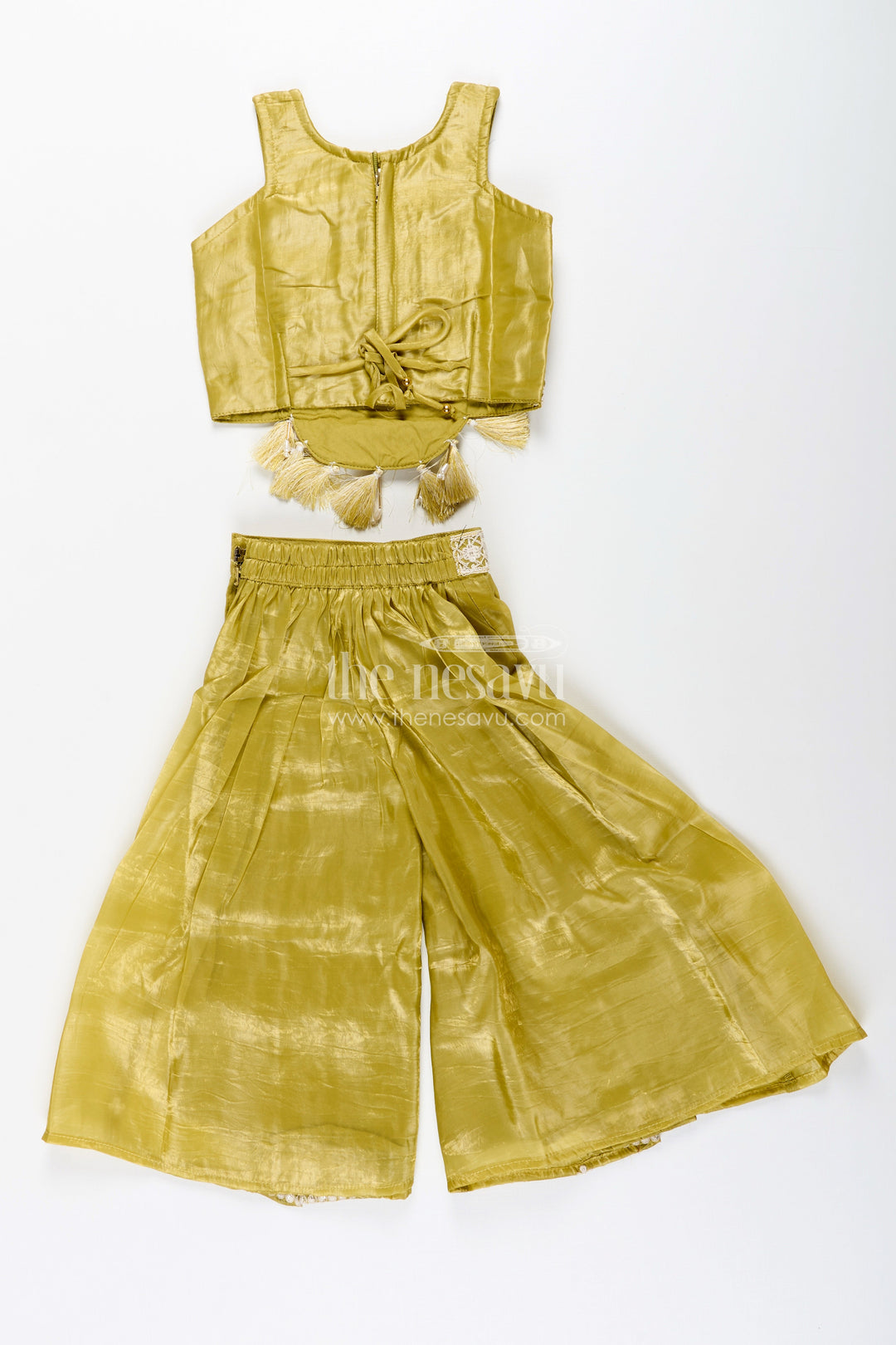 The Nesavu Girls Sharara / Plazo Set Designer floral sharara set with heavy organza embroidery – traditional ensemble for toddlers Nesavu Floral embroidered organza sharara set girls  toddler ethnic wear Nesavu