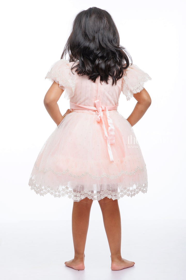 The Nesavu Girls Tutu Frock Enchanted Blush Tutu Party Frock: Whimsical Elegance for Girls Nesavu Buy Girls Floral Lace Tutu Frock | Designer Party Wear for Infants Online | The Nesavu