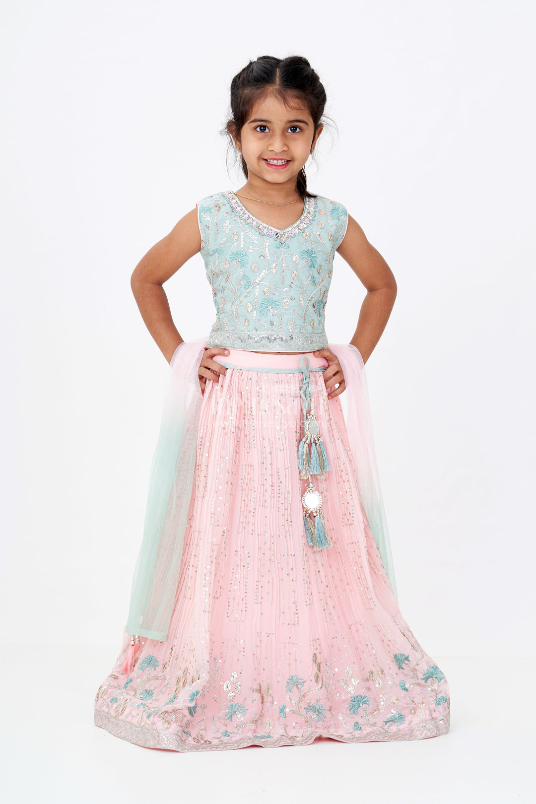 The Nesavu Girls Lehenga Choli Girls Beautiful Ghagra Choli with Embroidery and Sequin Detailing for Wedding Wear Nesavu Girls Beautiful Ghagra Choli Designer Embroidery Sequins Wedding Wear | The Nesavu