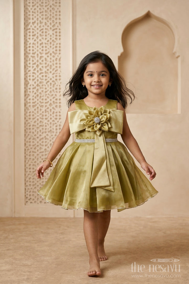 The Nesavu Girls Fancy Party Frock Girls Fancy Party Frock for Birthdays and Special Events Nesavu 16 (1Y) / Yellow / Organza PF289A-16 Nesavu girls glaze organza fancy party frock for birthdays