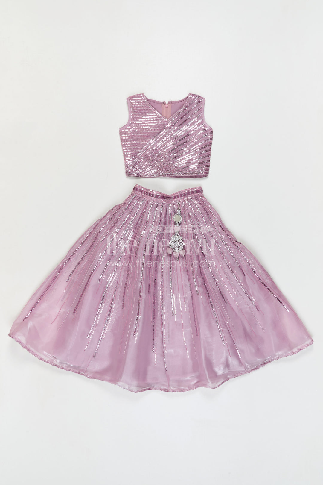 The Nesavu Girls Lehenga Choli Girls Lehenga Choli for Temple Visits and Festive Celebrations Nesavu Nesavu Girls Lehenga Choli For Weddings And Festive Celebrations With Designer Embroidery And Organza Flare