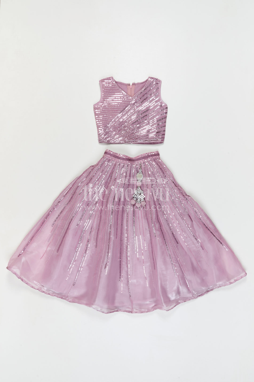 The Nesavu Girls Lehenga Choli Girls Lehenga Choli for Temple Visits and Festive Celebrations Nesavu Nesavu Girls Lehenga Choli For Weddings And Festive Celebrations With Designer Embroidery And Organza Flare