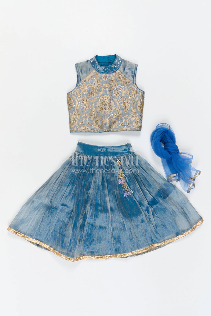 The Nesavu Girls Lehenga Choli Girls Lehenga Choli for Wedding Receptions and Festive Evenings Nesavu Nesavu Girls Lehenga Choli For Receptions And Festive Celebrations With Embroidered Designer Yoke