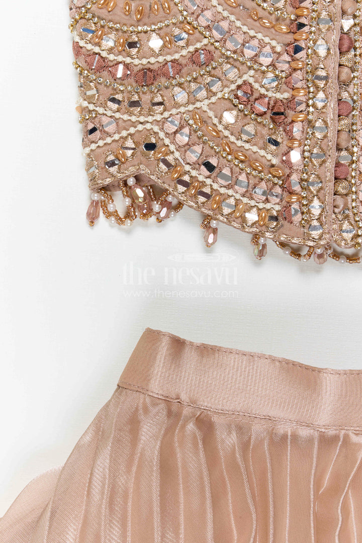 The Nesavu Girls Lehenga Choli Girls Lehenga Choli for Weddings and Temple Functions Nesavu Nesavu Girls Lehenga Choli Glaze Organza With Designer Embroidery Yoke For Weddings Festive Outfit
