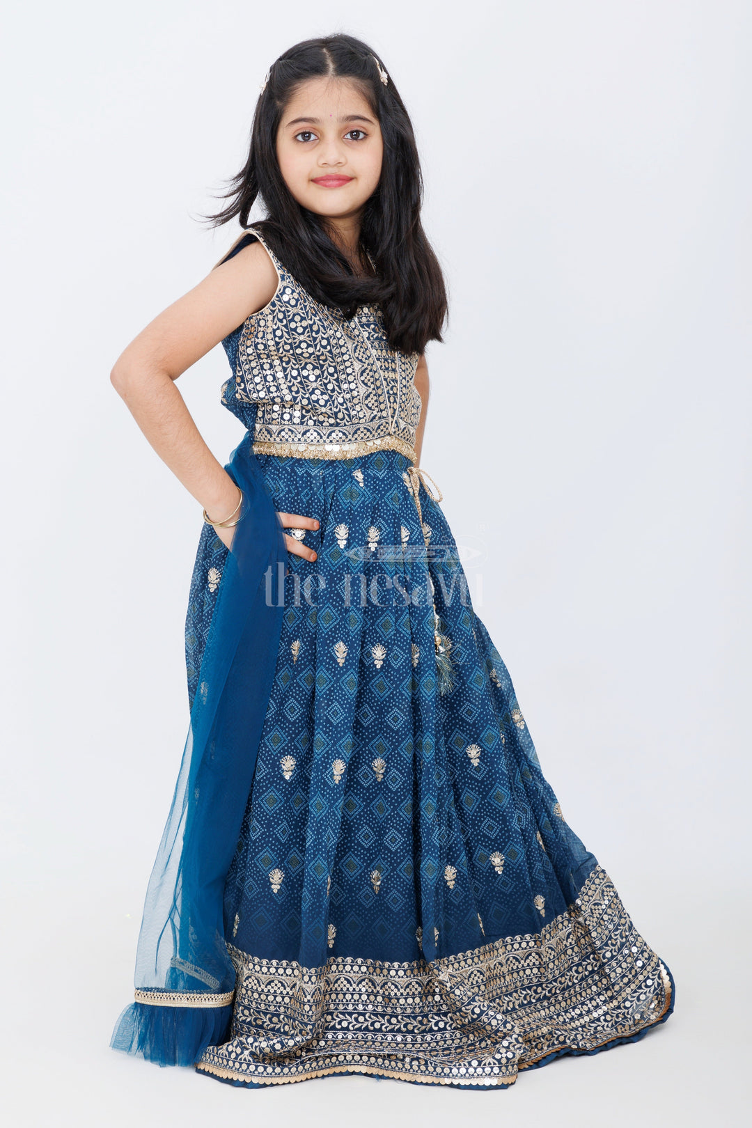 The Nesavu Girls Lehenga Choli Girls Navy Blue Pure Georgette Lehenga Choli with Silver Embroidery and Geometric Pattern Detailing Nesavu Nesavu Girls Navy Blue Georgette Lehenga Choli Silver Geometric Embroidery Pleated Skirt