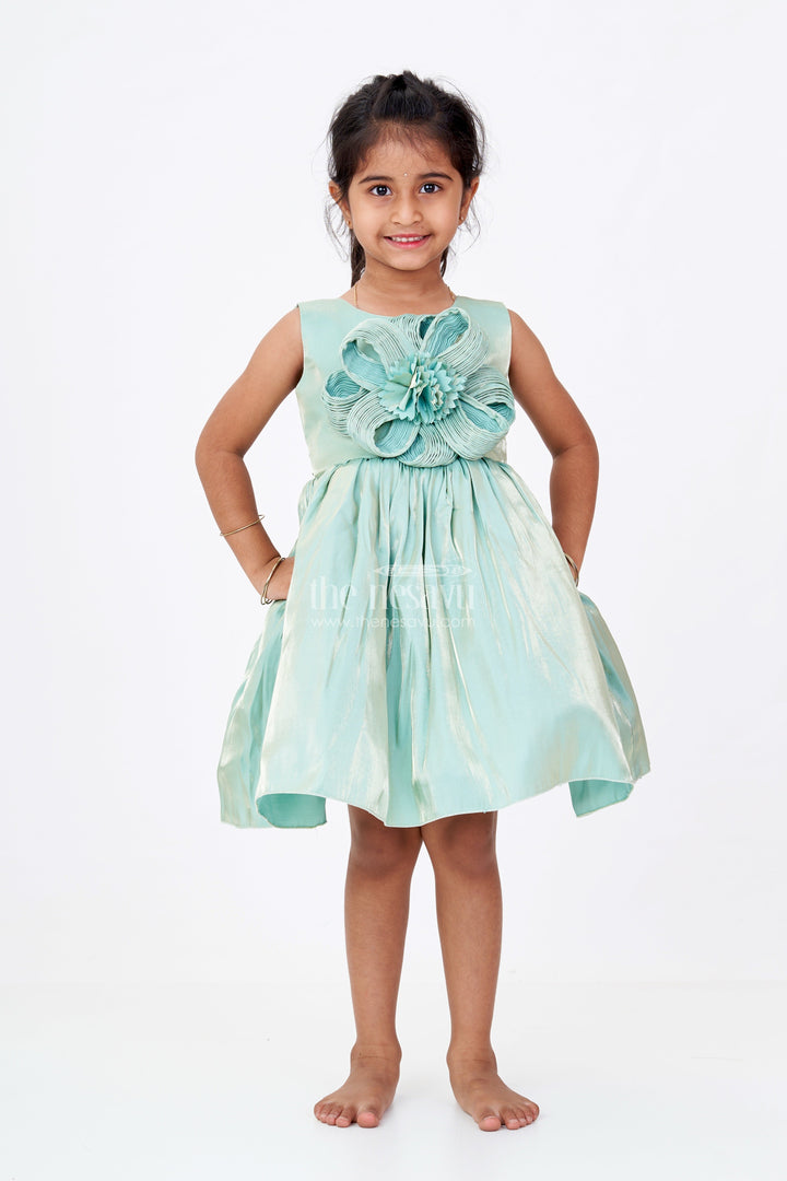 The Nesavu Girls Fancy Party Frock Girls Shiny Party Dress in Glazed Organza with Oversized Floral Appliqué and Elegant Flared Silhouette Nesavu Girls Shiny Party Dress Glazed Organza Floral Appliqu Flared Silhouette | The Nesavu