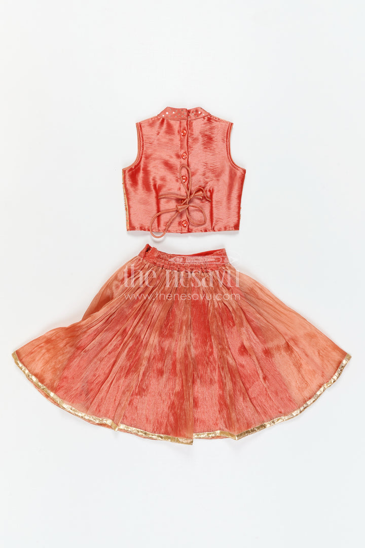 The Nesavu Girls Lehenga Choli Girls Traditional Lehenga Set for Festive Functions and Celebrations Nesavu Nesavu Girls Traditional Lehenga Set With Embroidered Yoke For Festive Family Celebrations