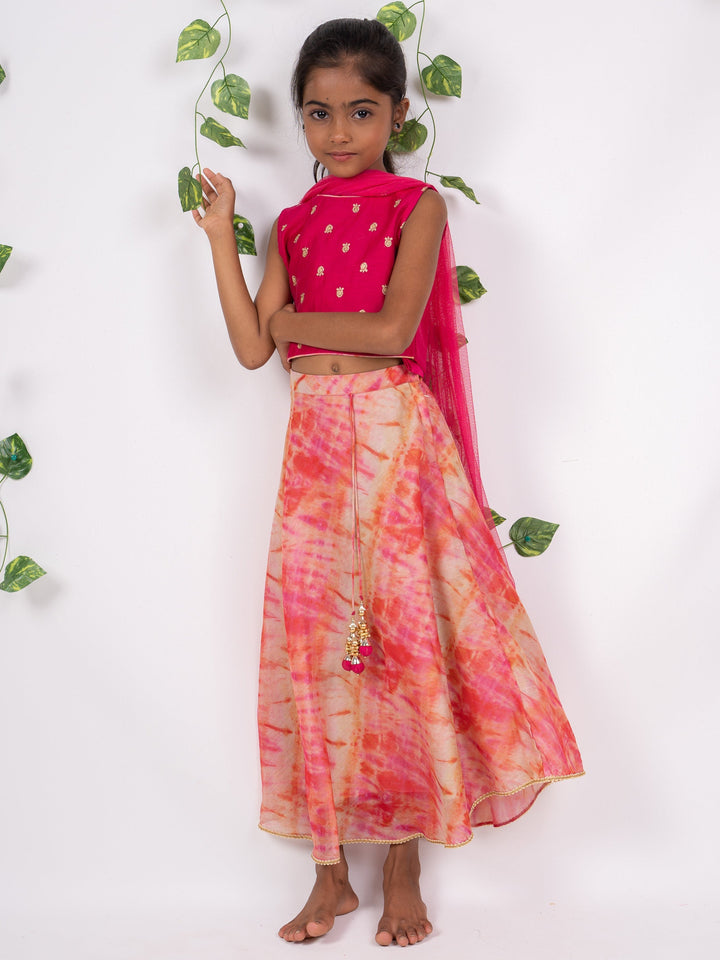 The Nesavu Girls Lehenga Choli Red Pattu Lehenga With Embroidery Crop Top And Skirt Nesavu 16 (1Y) / Pink / Chanderi GL222-16 Red Party Wear Birthday Dresses | Birthday Designer Skirt Ideas | The Nesavu