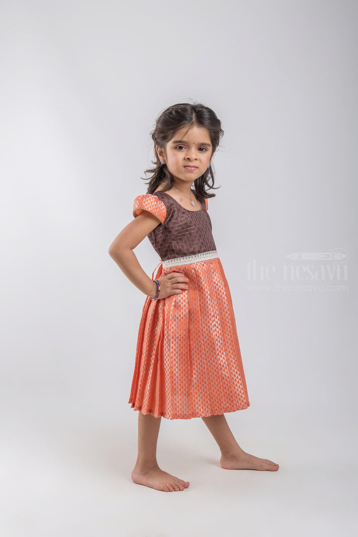 The Nesavu Silk Embroidered Frock Silver Zari Banarasi Silk Frock With Embroidered Waist Bank For Kids Girls psr silks Nesavu